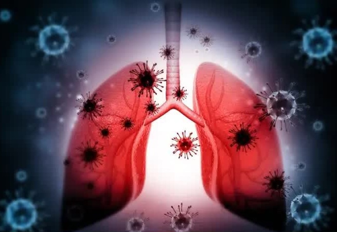 768 512 17125063 Thumbnail 3x2 Porikha