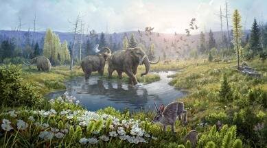 Greenland Ancient Dna 1