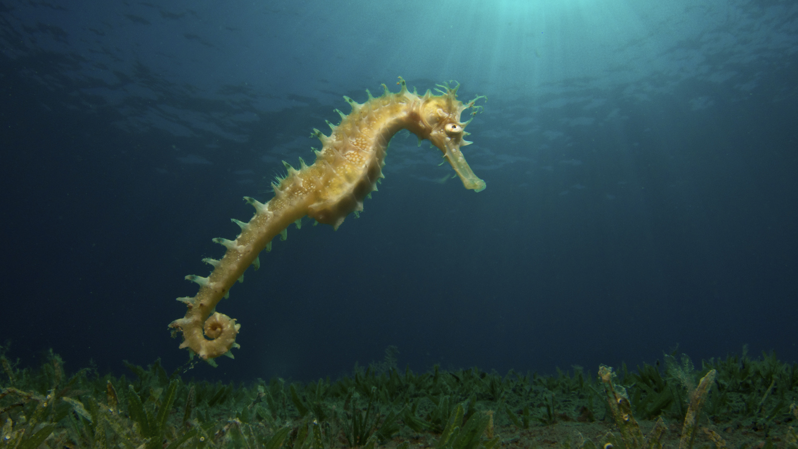 Thtbvcu3xvtbphlcgdup 1