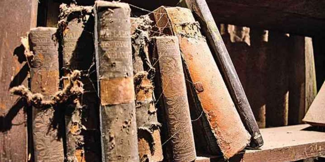 IMG_20220414_060341_11zon