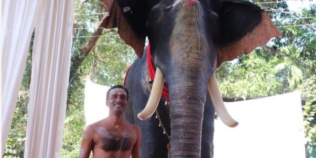Kerala Temple Mechanical Elephant 270723 Ians 1200