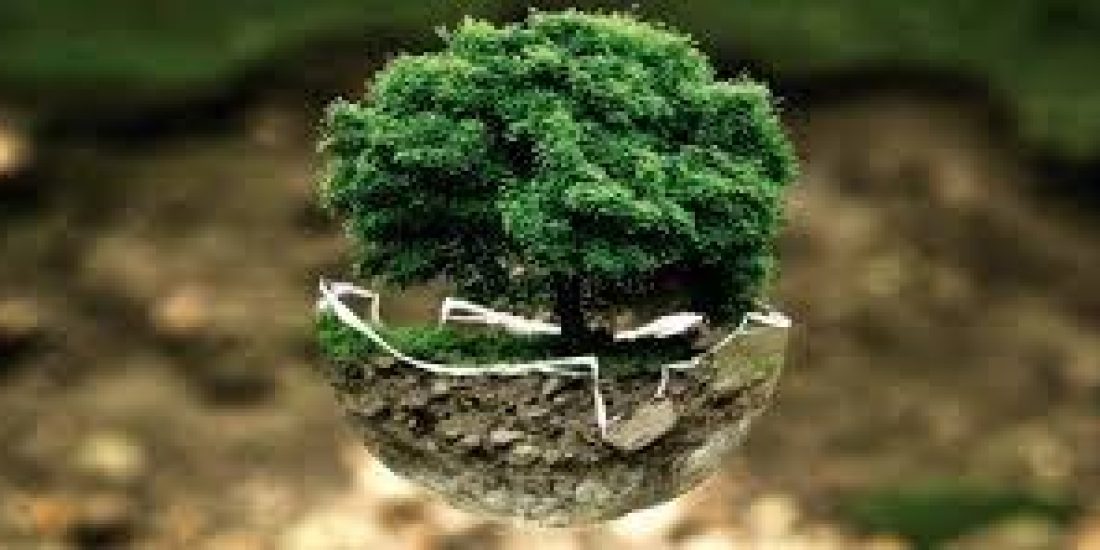 tree-illustration-img