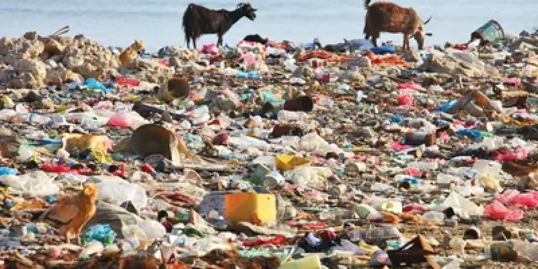 waste-beach-land-pollution-soil-water-health